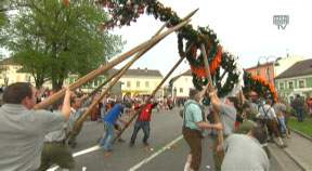 Maibaumaufstellen in Perg 2013