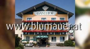 Ankündigung Wildwochen im Gasthof Blumauer in Rainbach