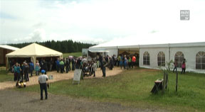 Hoffest am Junglammhof Pühringer in Traberg