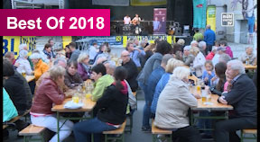Donaufest in Ottensheim