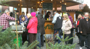 Bio-Adventmarkt in Grein 2014