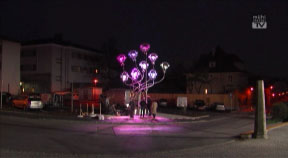 Linz AG – Sonnenblume in Freistadt