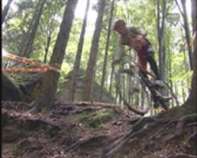 Ankündigung MTB Grand Prix Windhaag bei Perg 2009