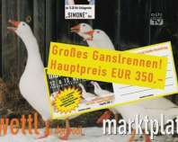 Ankündigung Martini-Markt in Zwettl a. d. Rodl