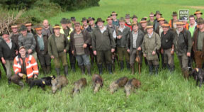 Seltenes Jagdglück in Nebelberg – fünf Wildschweine am Stück