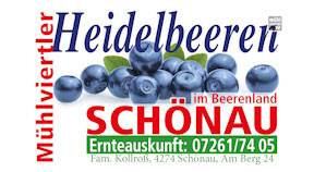 Heidelbeeren aus Schönau im Mühlkreis – Fam. Kollroß