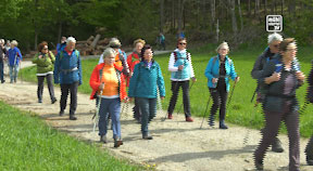 Pilgern am Granitpilgerwanderweg