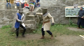 Ankündigung Ritterfest in Reichenau