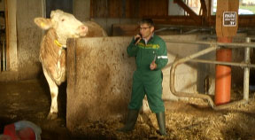 Biogespräch mit „Kuhflüsterer“ Christian Manser