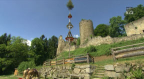 Burgruine Prandegg in Schönau im Mühlkreis
