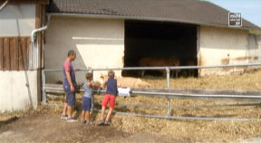 Hoffest beim Baiernaz in Summerau