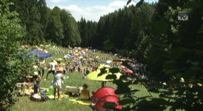 Familienpicknick in Schönau im Mühlkreis 2014