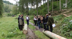 Forst- und Holzrallye durchs Mühlviertel