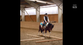 8 Reiterinnen legen Western Riding Certificate ab
