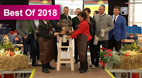 Strudengauer Messe in Waldhausen