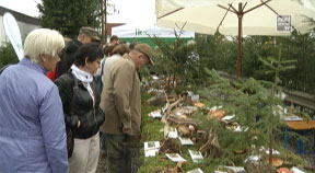 Erlebnismesse „Der Wald ruft“ – Thema Nutzung