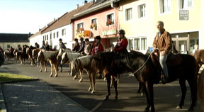 Leonhardiritt und Erbhoffeier in Schenkenfelden