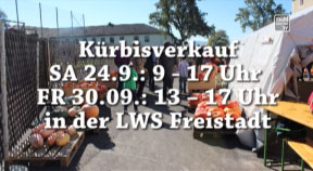 Kürbisverkauf in der Landwirtschaftsschule Freistadt
