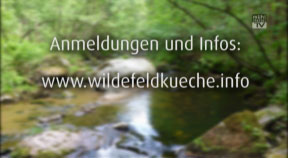Ankündigung Grenzlandcamp am Grünen Band Europas im Grenzgebiet des Mühlviertels