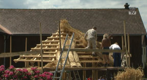 Strohdachdecken in Kaltenberg