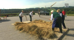 Kernlandbauernfest in Freistadt