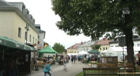 Marktfest Hellmonsödt 2014