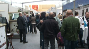 Gewerbemesse in St. Georgen an der Gusen
