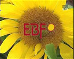 Beratungsscheck vom Energie-Bezirk-Freistadt