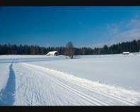 Langlaufparadies Nebelberg-Kollerschlag
