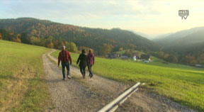 Wanderweg Stampfentalweg in St. Oswald bei Freistadt