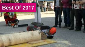 Bezirksforstwettbewerb in Schenkenfelden