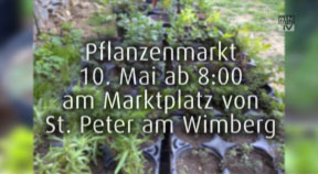 Ankündigung Pflanzenmarkt in St. Peter am Wimberg