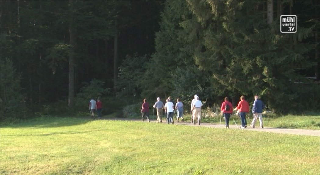 Bezirkswandertag Seniorenbund Rohrbach in Julbach