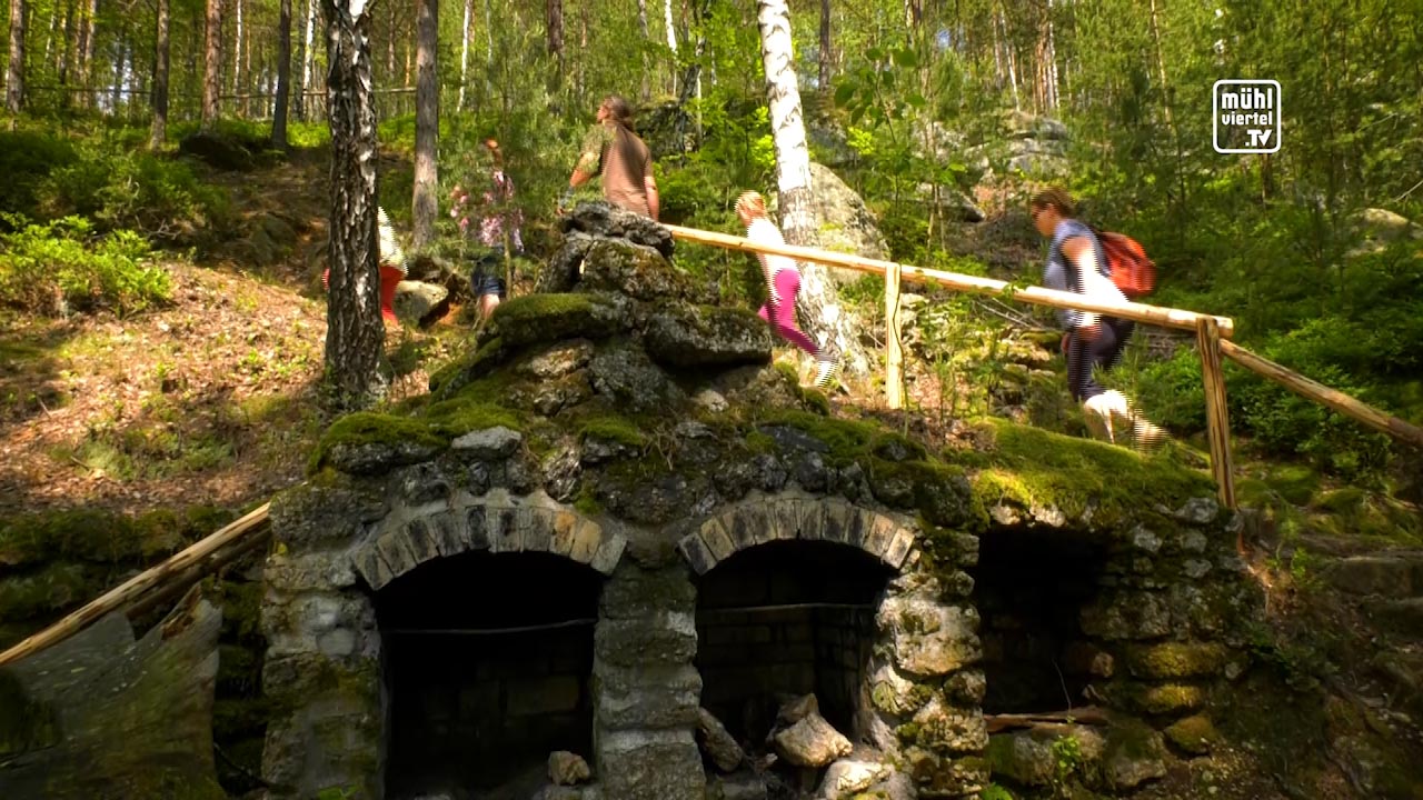 Ausflugstipp Naturpark Nordwald