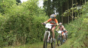 Schartner Bombe Youngster Grand Prix Windhaag bei Perg 2014