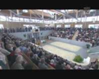 Eröffnung Versteigerungshalle Freistadt 2009