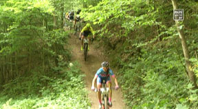 Granitmarathon in Kleinzell im Mühlkreis