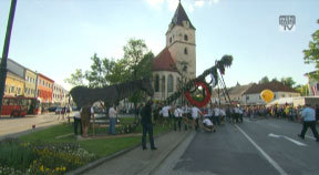 Maibaumaufstellen in Perg 2014