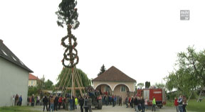Maibaum kommt retour nach Rainbach