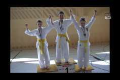 Erfolge Taekwondo Freistadt