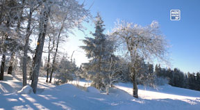 Winter im Mühlviertel