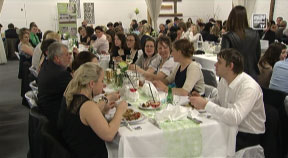 Wirteball des Bezirkes Rohrbach 2016
