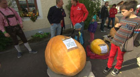 Kürbisfest in Freistadt 2013