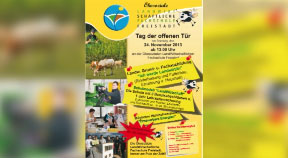 Ankündigung Tag der offenen Tür in der LWS Freistadt