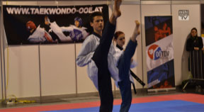 Taekwondo im Mühlviertel - Neuigkeiten 2014