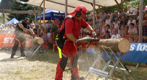 Holzhackerwettbewerb in Karlstift 2017