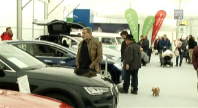 Freistädter Motorshow - Teil 2