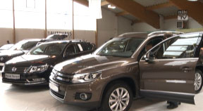 SternGartl Autosalon