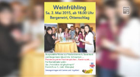 Ankündigung: Weinfrühling Ottenheim-Haibach-Reichenau
