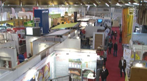 Baumesse in Freistadt 2015
